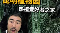 昆明植物园！你这么舍得花钱不要命啦？！