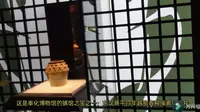 奉化博物馆-vlog02