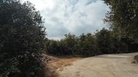 南昌植物园—双岭村   xc越野路线