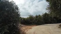 南昌植物园—双岭村   xc越野路线