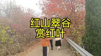 红叶圣红期，红山翠谷赏红叶，品尝当地农家乐