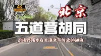 【4K60帧】Ctiywalk 五道营胡同，沉浸式感受北京最具文艺气息的胡同！
