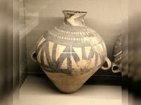 天水市博物馆馆藏7000-3000年文化期古陶器