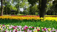 上海鲜花港