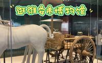 天气炎热，去淮安市博物馆逛逛吧