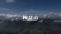 安利一下梅花山