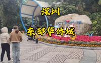 深圳东部华侨城，曾经多辉煌的地方啊～