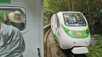 武陵源景区的十里画廊小火车
