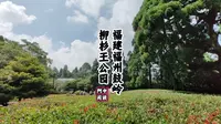 “福建福州鼓岭”柳杉王公园