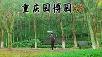 重庆最大的园林景区 I 园博园徒步游玩记录 I 来重庆一定要去的景点