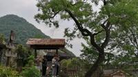 远安拈花谷