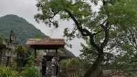 远安拈花谷