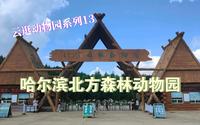【云逛动物园系列】13.哈尔滨北方森林动物园