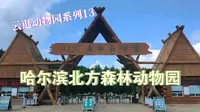 【云逛动物园系列】13.哈尔滨北方森林动物园