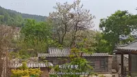 圣井峪游记