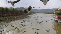 浙江省诸暨市米果果小镇