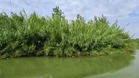 洪泽湖湿地公园位于江苏省宿迁市泗洪县，是国家AAAAA级旅游景区、中国十大生态休闲基地，也是集生态休闲、观光游览、科普教育等为一体的旅游景区。