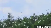 最美地球之中国浙江美景篇——金华双龙洞