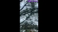 惠州模仿巴厘岛同款礁石酒吧.....有点不像