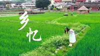 【遇见永春】走，到永春余光中文学馆、花石稻海……去寻找记忆中的乡愁乡韵！#永春融媒#遇见永春#本地新闻#永春