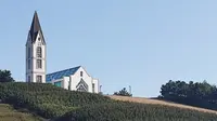 【vlog】青岛藏马山写生
