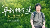 五一平利亲子游：桃花溪这一片绿，真的很舒服