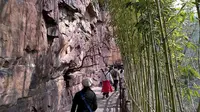 20260328_1124_焦作市修武县云台山风景名胜区红石峡景区