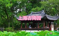 旅拍VLOG之上海南翔古猗园