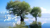 十月大理喜洲海舌公园游记Vlog：微风吹拂的晴日，来看美美的洱海吧~