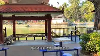 西双版纳孔雀湖市民公园，热带雨林的感觉