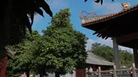 南宁孔庙