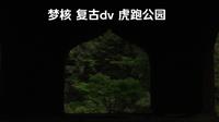 中式梦核 复古磁带dv 杭州虎跑公园