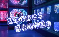 走进左海海底世界，小小的水族馆也可以如此罗曼蒂克！
