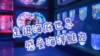 走进左海海底世界，小小的水族馆也可以如此罗曼蒂克！