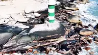 总要去趟东山岛的南屿双面海吧！