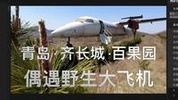青岛 · 齐长城 · 百果园 · 偶遇野生大飞机