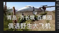 青岛 · 齐长城 · 百果园 · 偶遇野生大飞机