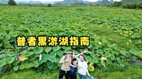 云南文山（上）  夏季普者黑游湖赏荷是乘画舫还是划小舟