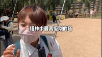 塔林中最高级别的塔为现任第30任方丈”释永信为其师父第29任方丈”行正”禅师所建之塔外面还有罕见的功德墙后面还有一塔也有功德墙是元朝忽必烈的御用国师