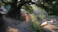 被《国家地理》评为江南最后的秘境有多美【丽水之旅-松阳古村】