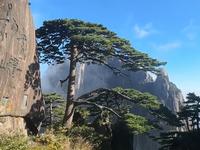 巡游天下之黄山迎客松