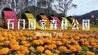 【徒步中国】漫步广州从化石门国家森林公园