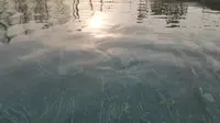沈阳新北汤温泉