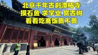 北京千年古刹潭柘寺，为何排队摸石鱼？吃斋饭多少钱？吃完后悔了
