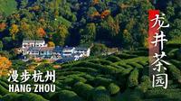 【漫步杭州】远离喧嚣，穿梭在龙井村的茶园，领略杭州独一份的宁静与松弛