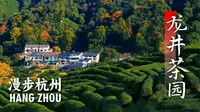 【漫步杭州】远离喧嚣，穿梭在龙井村的茶园，领略杭州独一份的宁静与松弛