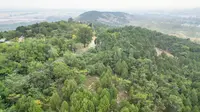 邳州禹王山抗日阻击站