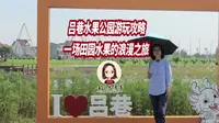 上海吕巷水果公园游玩攻略