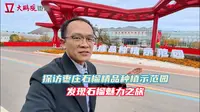 探访枣庄石榴精品种植示范园，发现石榴魅力之旅
