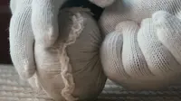 【临沧茶】历久弥香的昔归团茶